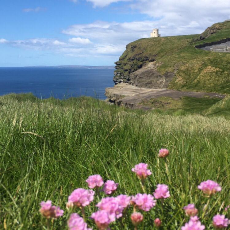 Klippe am Meer mit Leuchtturm und Blumenwiese 